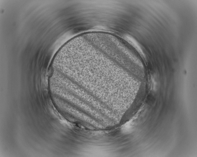 X0000087061292200705091151