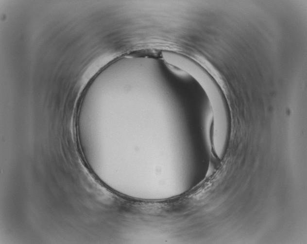 X0000087061293200705091151