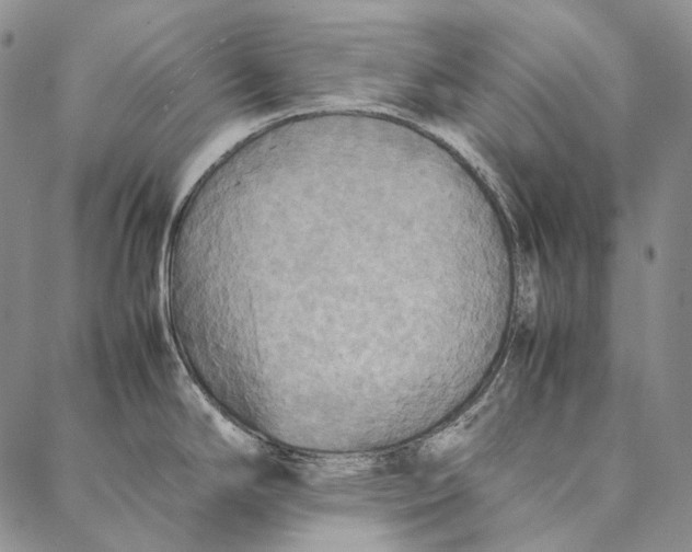 X0000087061294200705091151