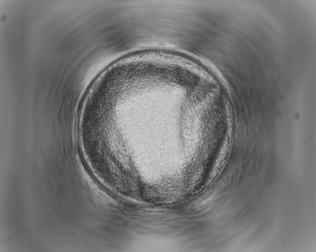 X0000087061295200705091151