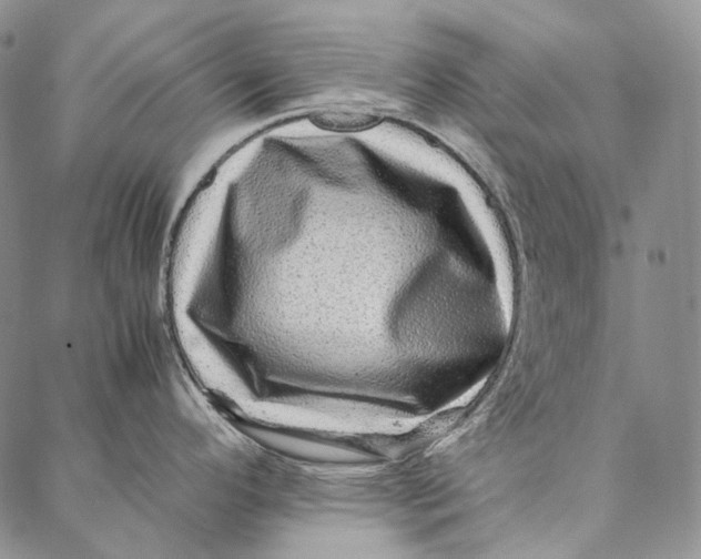 X0000087061296200705091151