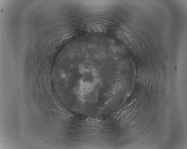 X0000087061297200705091150