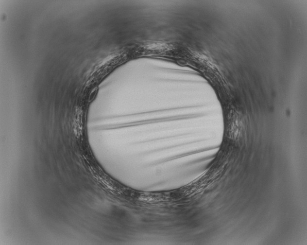 X0000087061301200705091150