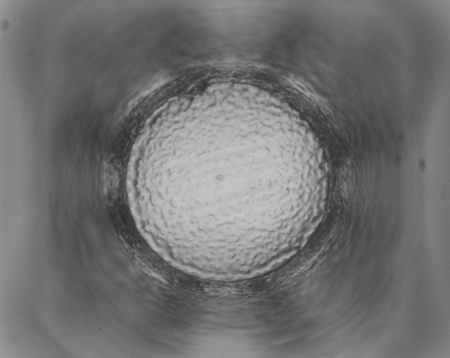 X0000087061302200705091150