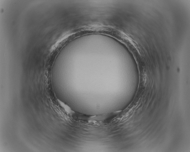 X0000087061304200705091150