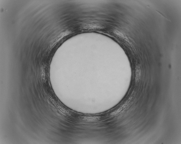 X0000087061305200705091150