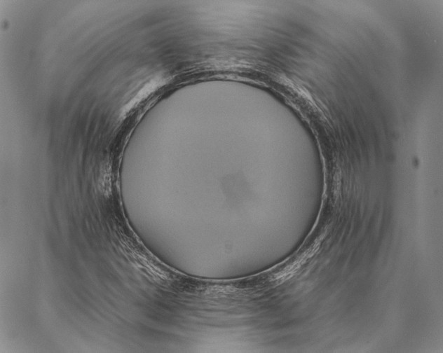 X0000087061306200705091150