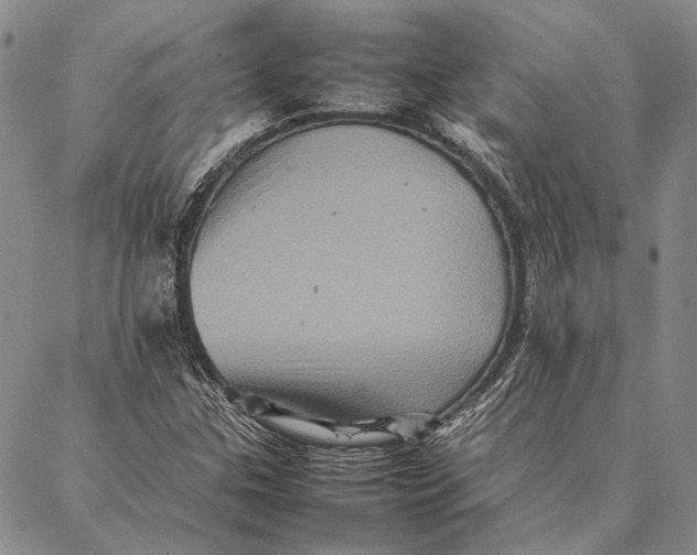 X0000087061307200705091150