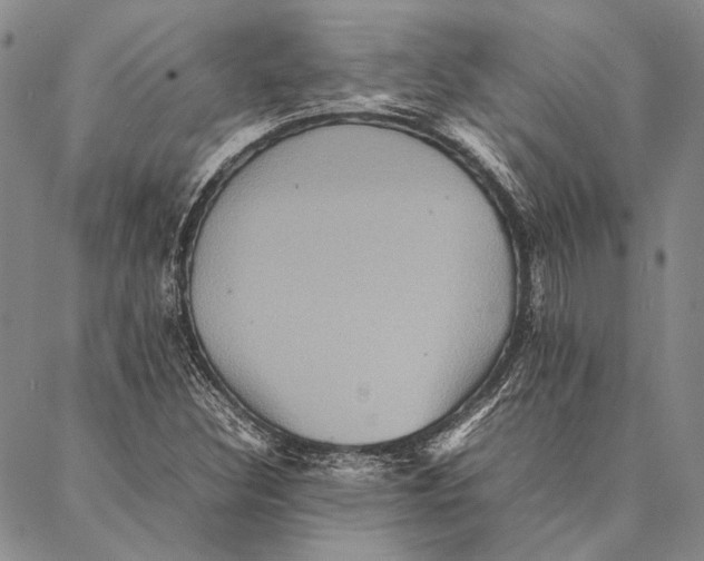 X0000087061308200705091150