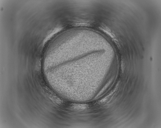 X0000087061309200705091150