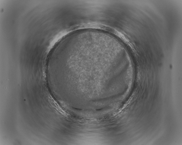 X0000087061312200705091150