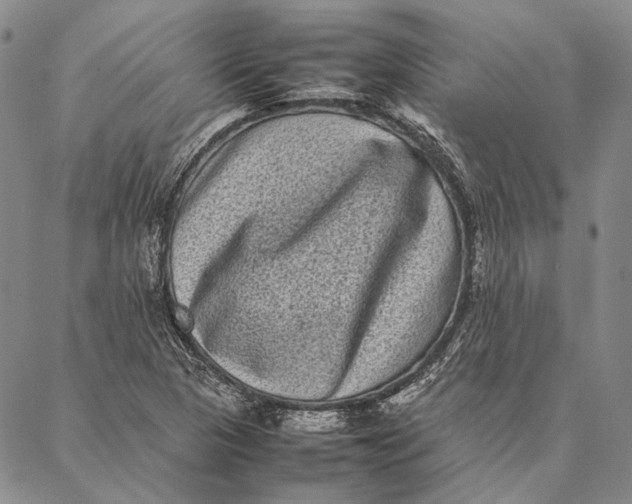 X0000087061313200705091150