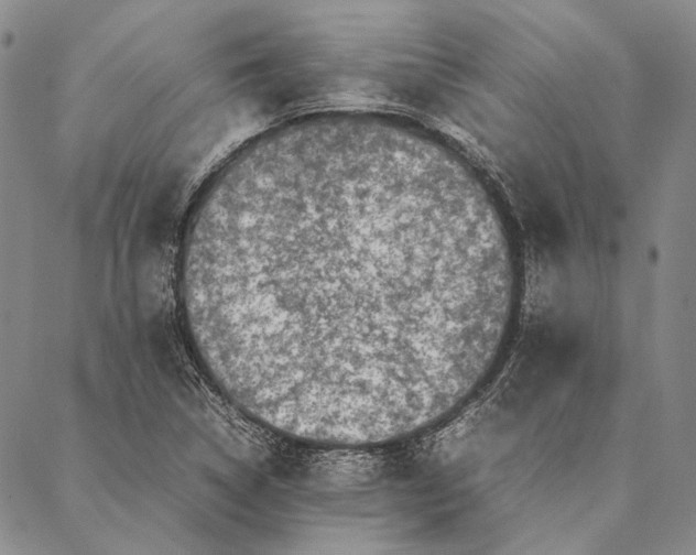 X0000087061314200705091150