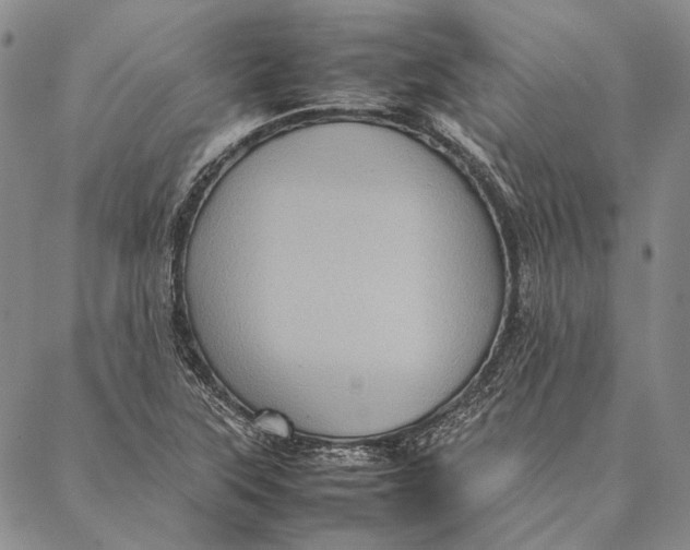 X0000087061315200705091151