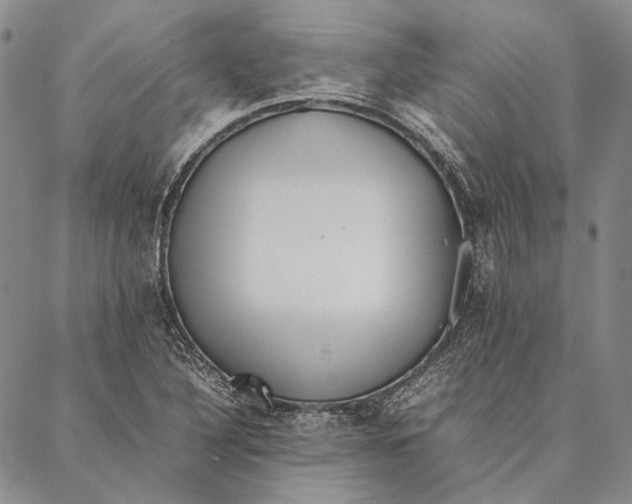 X0000087061316200705091151