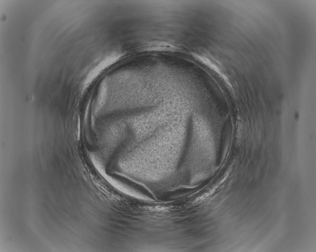 X0000087061317200705091151