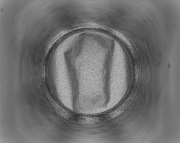 X0000087061318200705091151