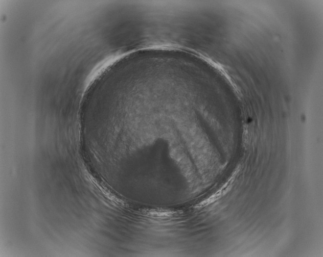 X0000087061319200705091151