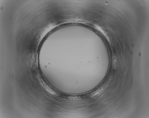 X0000087061320200705091151