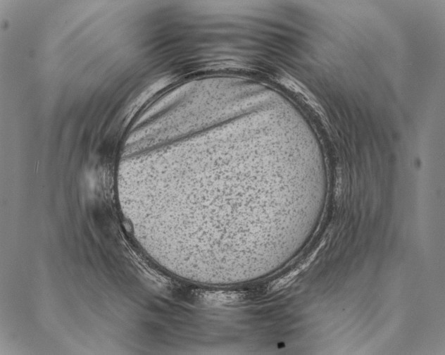 X0000087061321200705091151