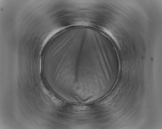 X0000087061323200705091151