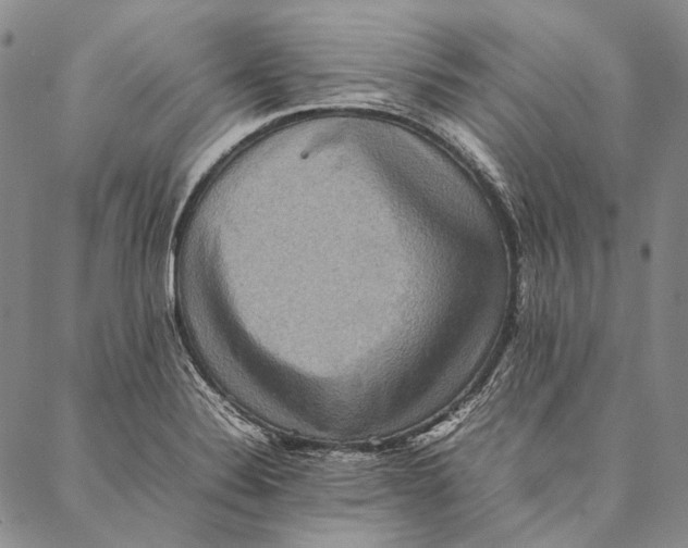 X0000087061324200705091151