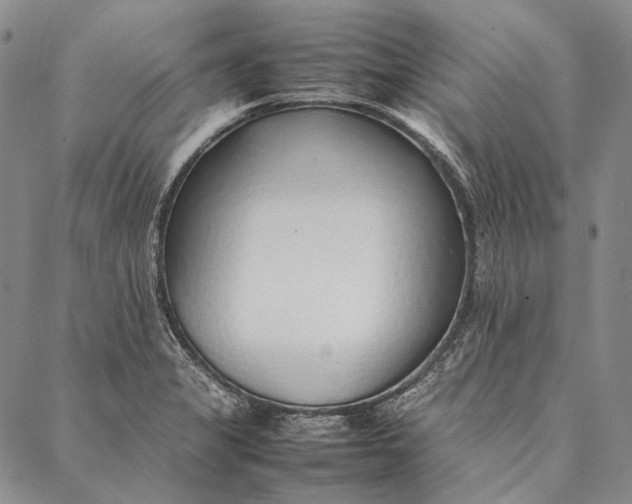 X0000087061325200705091151