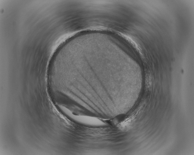 X0000087061327200705091151