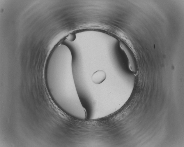 X0000087061328200705091151