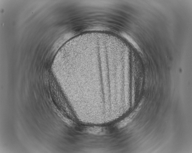 X0000087061329200705091151