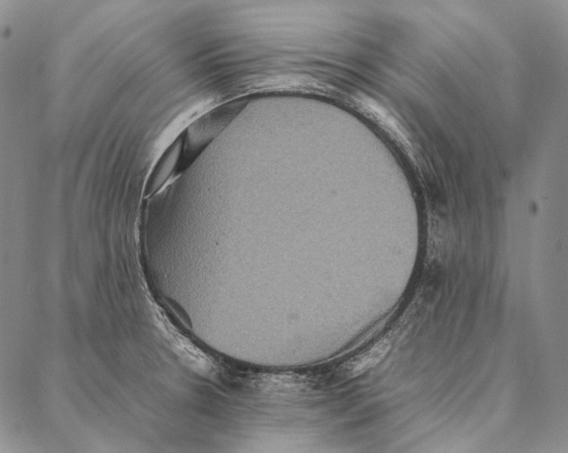 X0000087061330200705091151