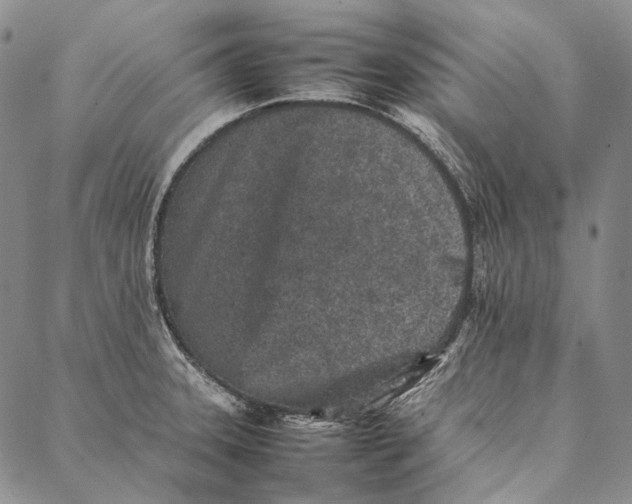 X0000087061331200705091151