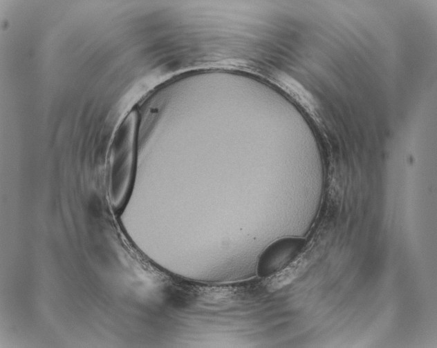 X0000087061332200705091151