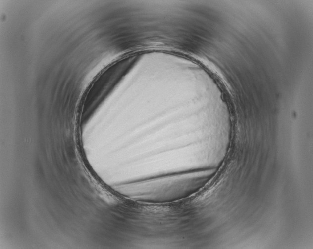 X0000087061333200705091151