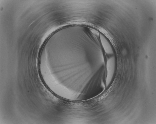 X0000087061334200705091151