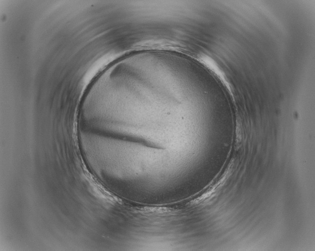 X0000087061336200705091151