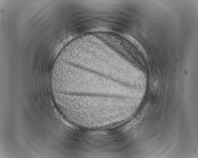 X0000087061337200705091151