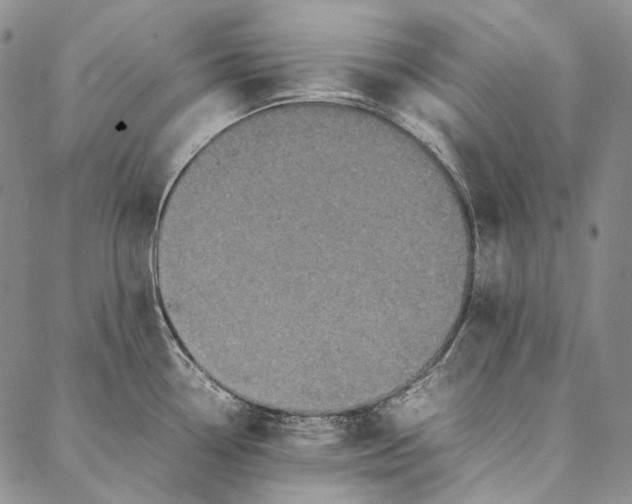 X0000087061338200705091151