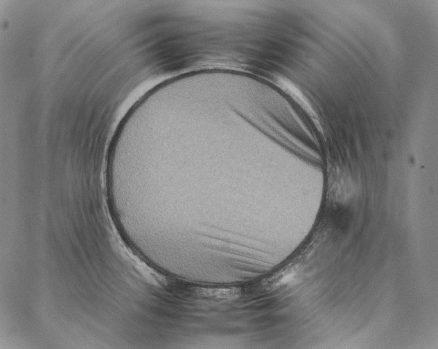 X0000087061339200705091151