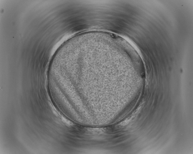 X0000087061341200705091151