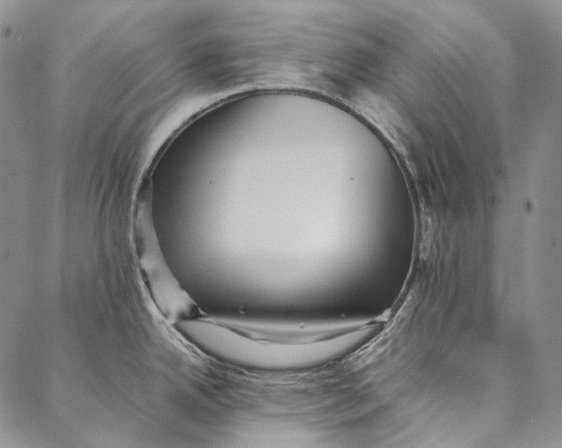 X0000087061342200705091151