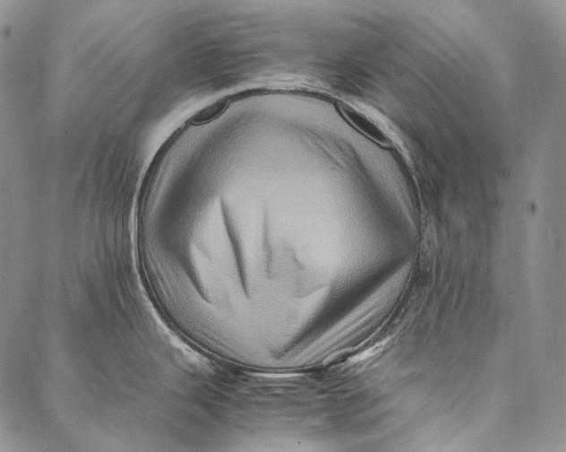 X0000087061343200705091151