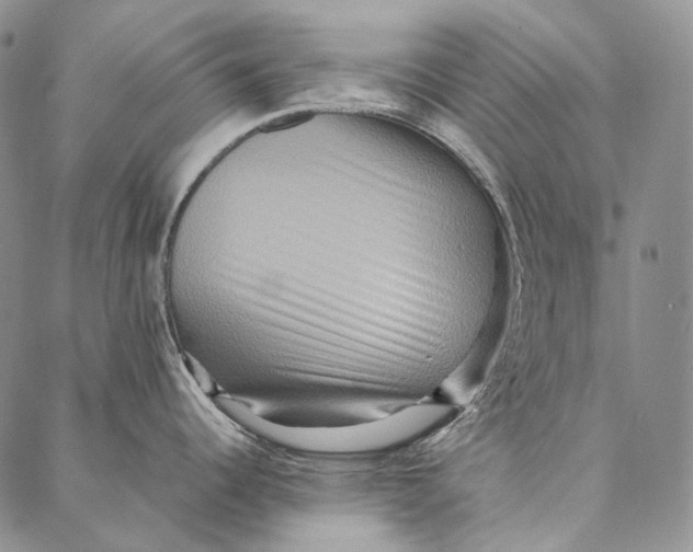 X0000087061344200705091151