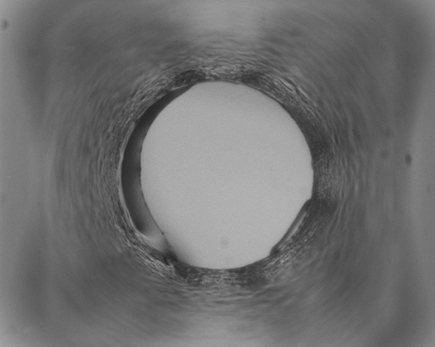 X0000087061345200705091150