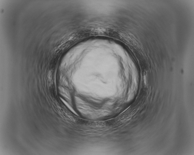 X0000087061347200705091150