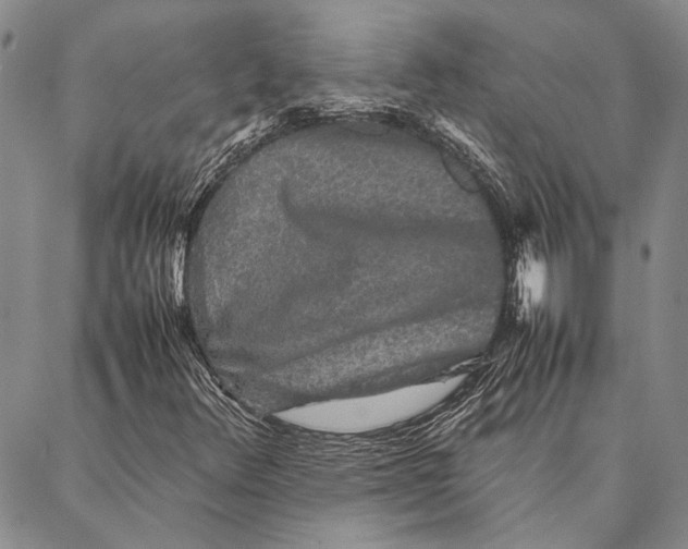 X0000087061348200705091150