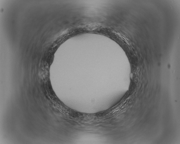 X0000087061349200705091150