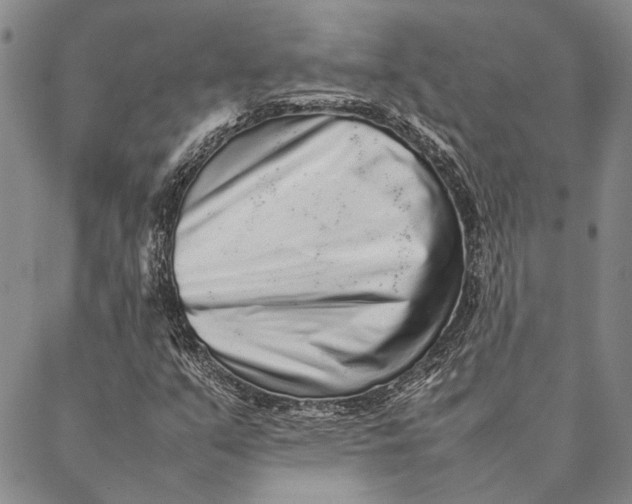 X0000087061351200705091150