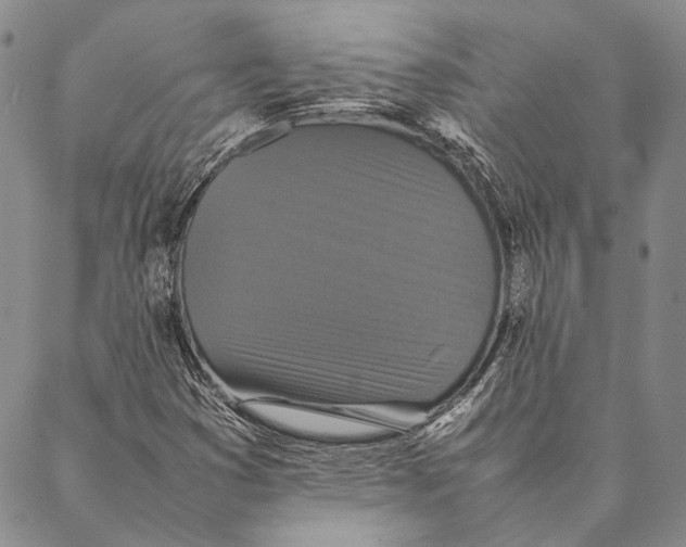 X0000087061353200705091150