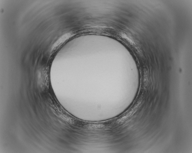 X0000087061354200705091150